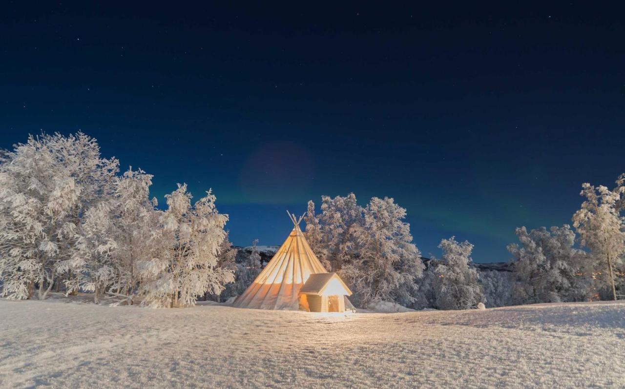 Aurora Borealis Observatory *