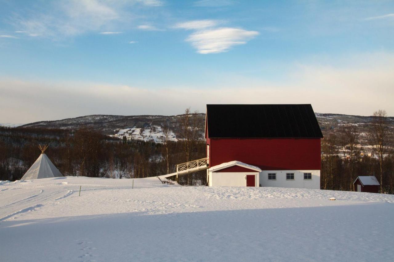 Aurora Borealis Observatory Resort *