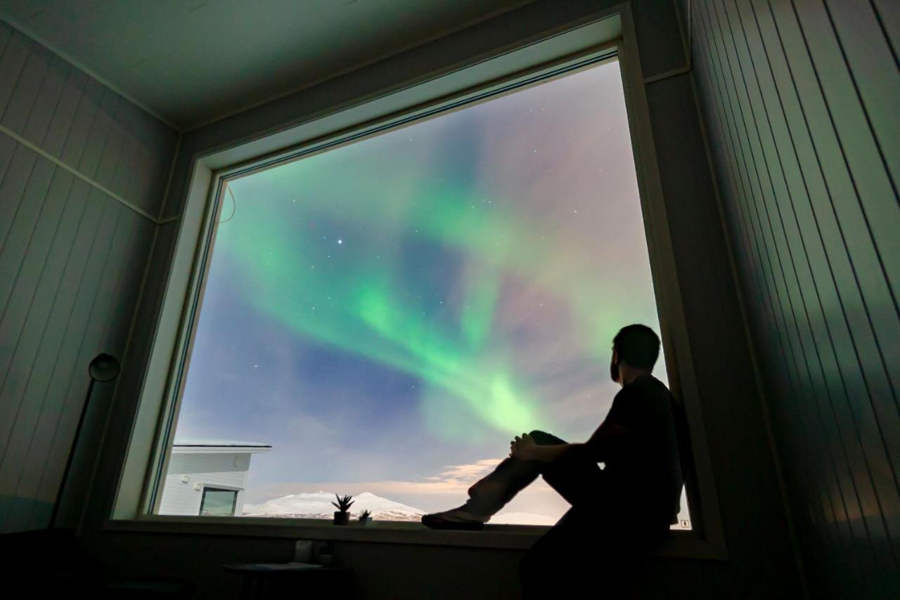 Aurora Borealis Observatory Silsand