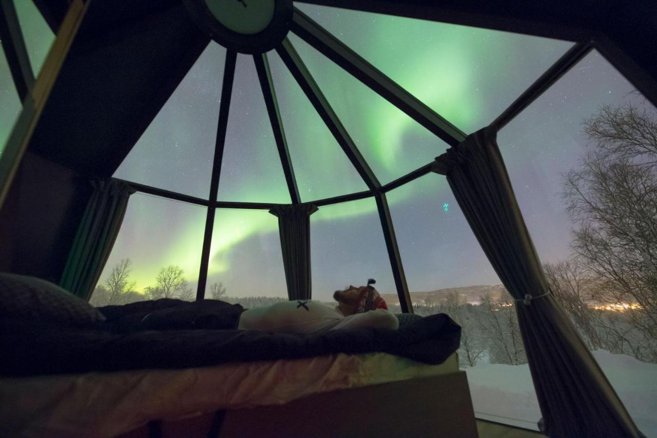 Aurora Borealis Observatory Silsand