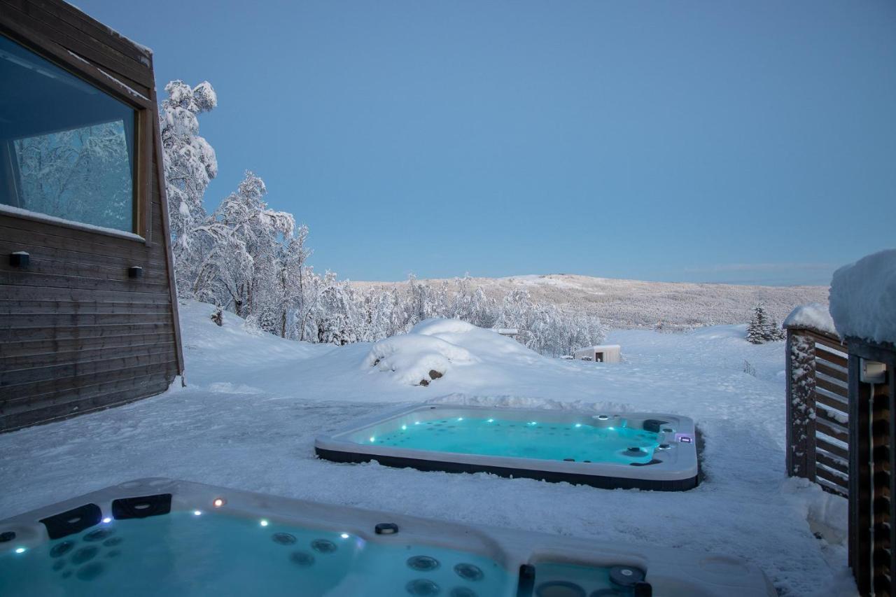 Aurora Borealis Observatory Resort