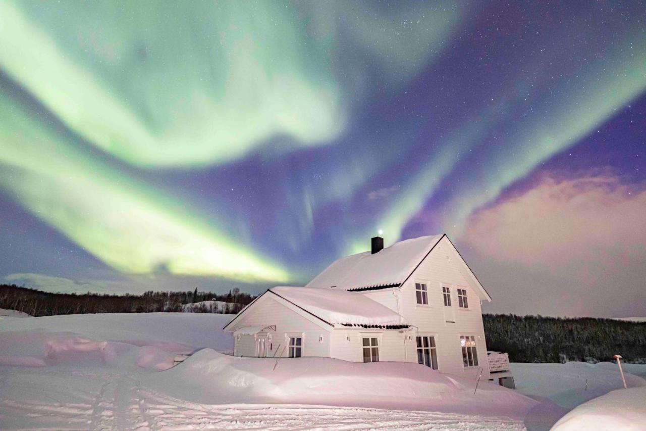 Aurora Borealis Observatory Resort