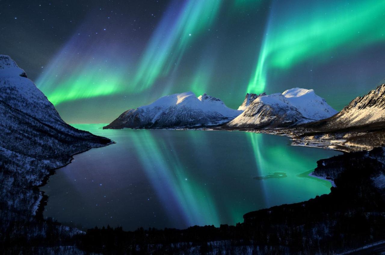 Aurora Borealis Observatory Resort Silsand