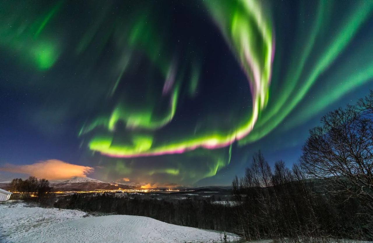 Aurora Borealis Observatory Silsand