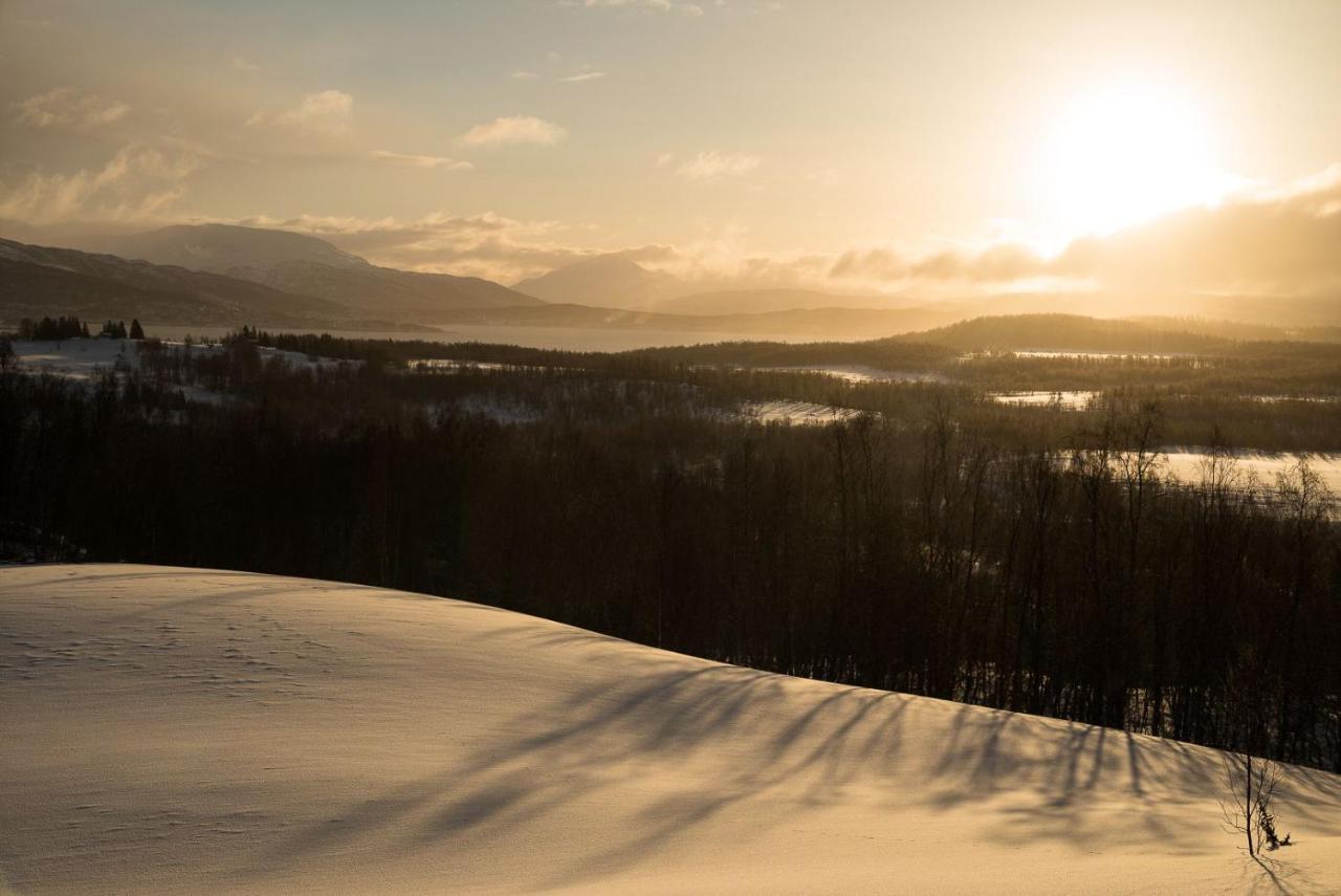 Aurora Borealis Observatory Resort Silsand