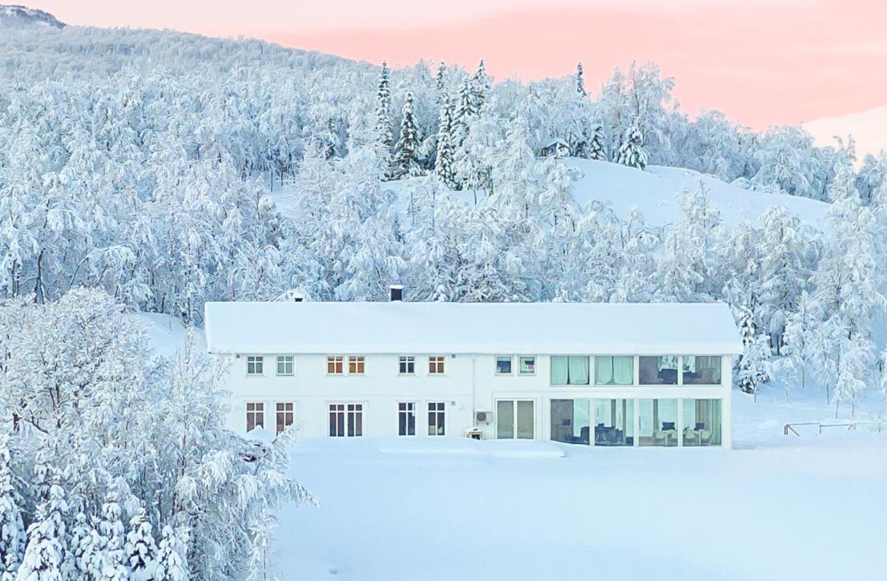 Resort Aurora Borealis Observatory *
