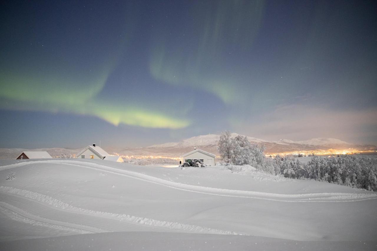 Aurora Borealis Observatory Silsand